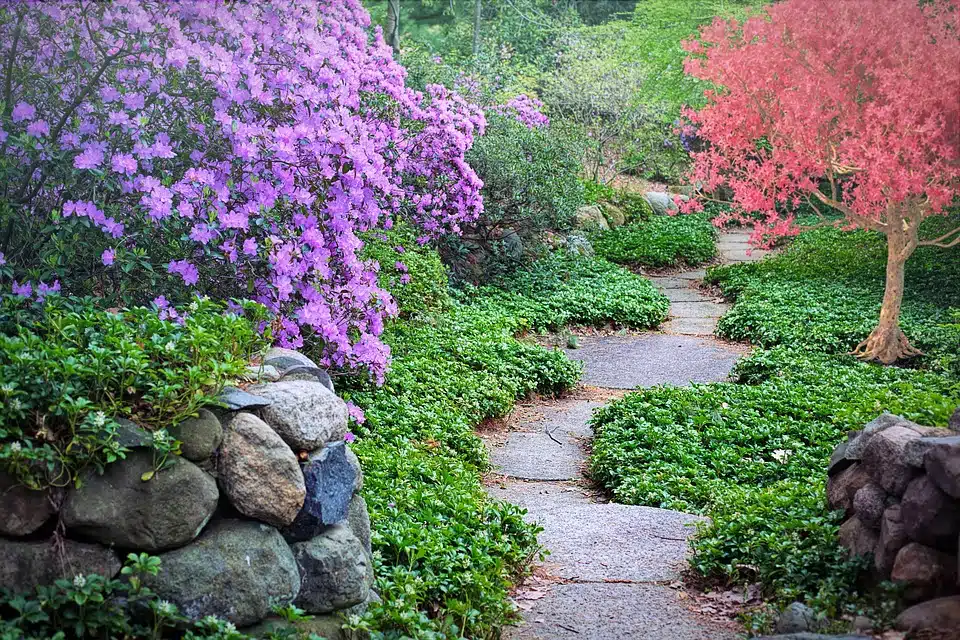 Comment créer un paysage naturel à la maison ?